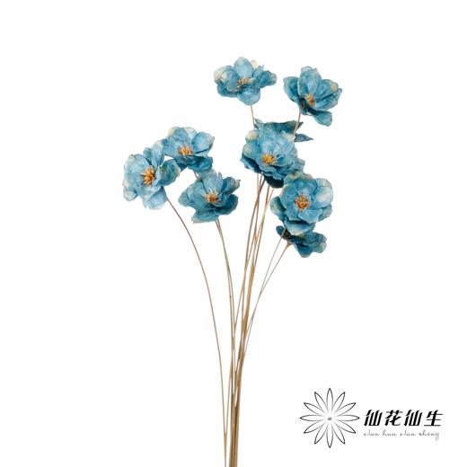 永生花 | 银珍花蓝 商品图2