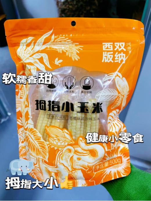 【拇指小玉米精品袋装】🌽零食新选择👏蔬菜界的零食新星👉 小身材大美味！❤吃出棒棒好心情！ 商品图2