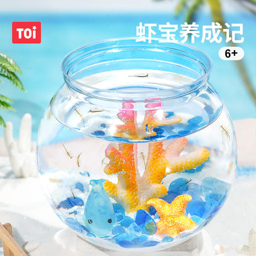 TOI图益Craftoi系列-虾宝养成记 商品图1