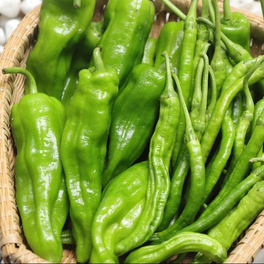 生态辣椒（青椒/二荆条） | 合作生产*Ecological Chili (Green Pepper/Erjingtiao) | Partner Production 商品图0