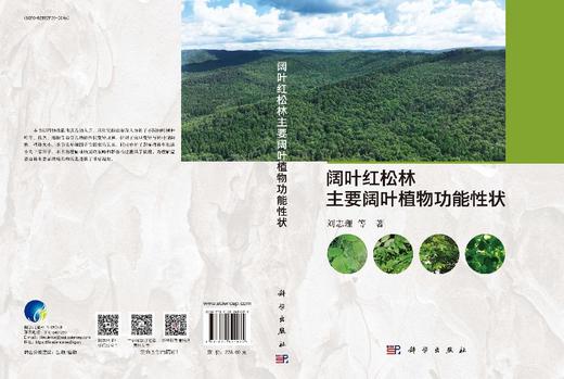 阔叶红松林主要阔叶植物功能性状 商品图3