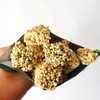 GROBY海苔米饼/芝麻米饼45g 浓郁美味唇齿留香 059468/059467 商品缩略图3