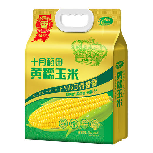 十月稻田 黄糯玉米1.76kg袋装 颗粒饱满 弹润黏糯 商品图2