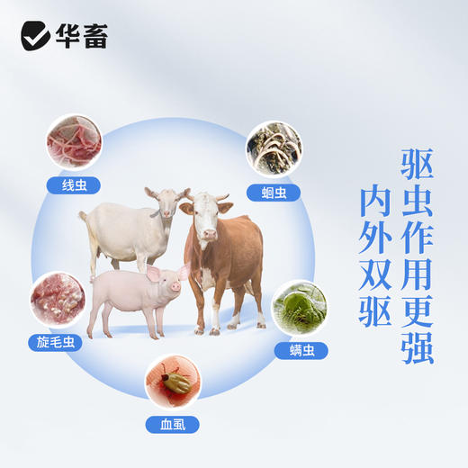 华畜多拉菌素注射液50ml 孕畜可用内外双驱 商品图2