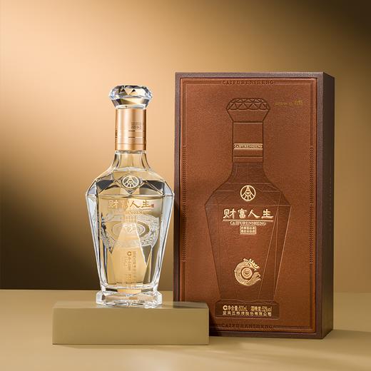 五粮液股份出品【财富人生·贵宾】  百年古窖酿造  固态纯粮发酵  52%vol 优级浓香 商品图2