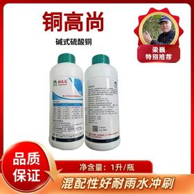 铜高尚 碱式硫酸铜