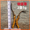西藏那曲野生冬虫夏草干 干刷 苗家圆圆 顺丰包邮 商品缩略图1