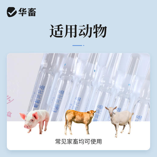 华畜硫酸阿托品注射液牛羊猪解磷中毒犬猫有机磷急救解毒呕吐痉挛 商品图2