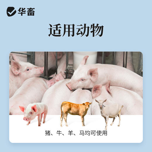 华畜兽药葡萄糖注射液兽用猪牛羊低血糖口服输液利尿补充体能 商品图2