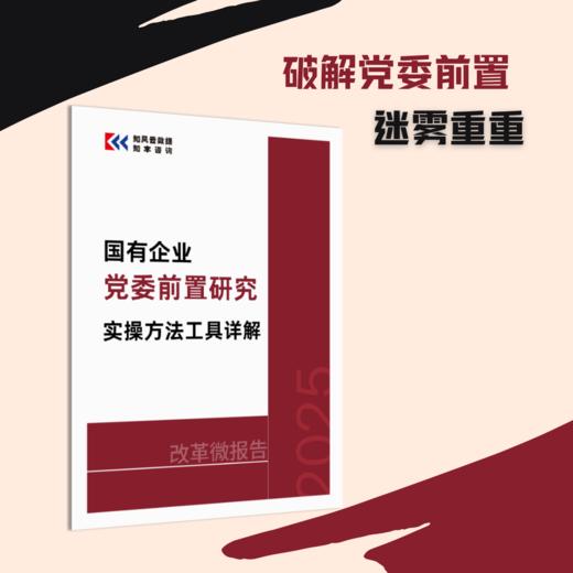 改革微报告 | 国有企业党委前置研究实操方法工具详解（2025） 商品图0