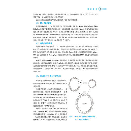 基因工程技术 高等职业教育本科药学类专业规划教材 黎晶晶 主编 供生物技术类及相关专业用 9787521453942 中国中医药出版社 商品图4
