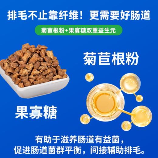 澳龙莫瑞加化呗圆苞车前子壳化毛膏120g 商品图3