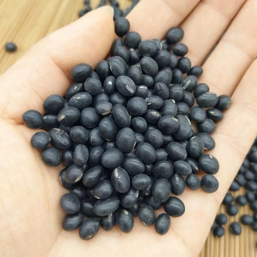 本地青仁黑豆2斤装 商品图2