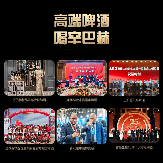 辛巴赫精酿【国际大奖】珠峰艾尔高端精酿啤酒商务送礼5.2度整箱500ml*12瓶 商品图3