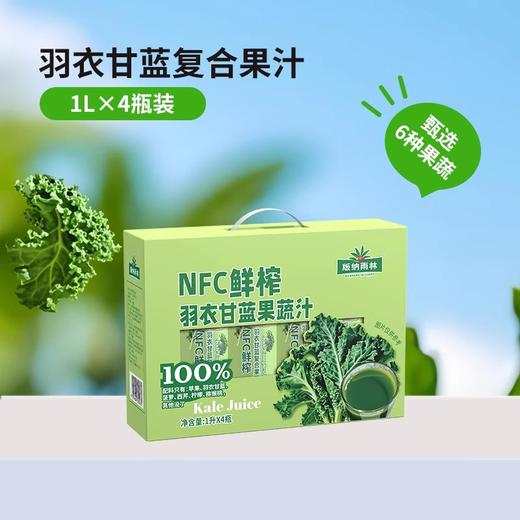 版纳雨林 NFC鲜榨羽衣甘蓝果蔬汁礼盒1L*4（包装随机发货） 商品图0
