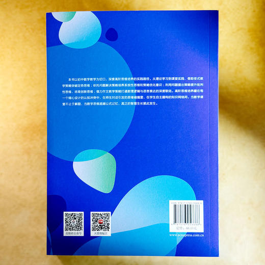 高阶思维的智慧教学 初中数学的典型课例 邵毓佳 初中数学教学 商品图2