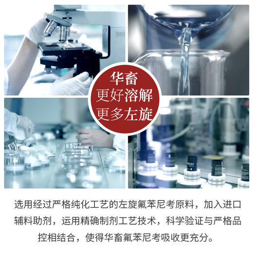 【积分兑换】华畜20%氟苯尼考粉 达峰浓度更高 见效更快 禽畜通用呼吸道药 商品图4