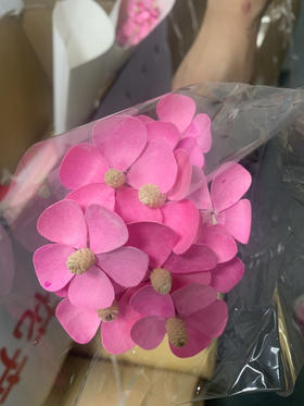 粉色干花紫罗兰