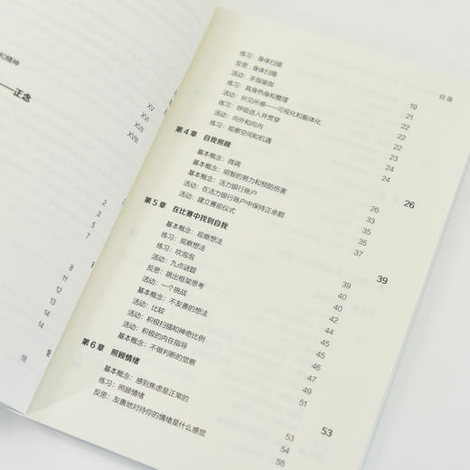 运动中的流畅体验 基于正念训练的*运动表现实践方法 心理疏导情绪管理书籍 运动心理学 正念情绪控制 精神焦虑症的自救 商品图4