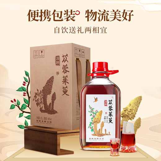 【特色浸泡】2.3L40度劲牌苁蓉茱萸酒 商品图5