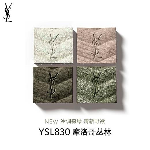 YSL 圣罗兰迷你四色眼影盘系列 商品图11