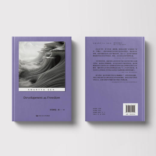 《以自由看待发展》 商品图11