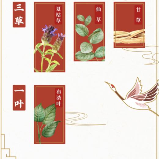 和其正 凉茶饮料550ml/瓶 商品图3