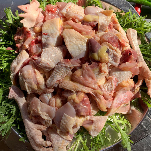 【厂商直发】有机跑山鸡母鸡2.2斤山林生态散养0抗生素包邮 商品图7