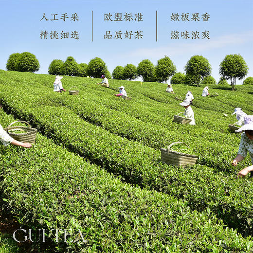 贵茶2025年春茶新茶绿宝石中国梦礼盒198g贵州绿茶端午父亲节送长辈 礼盒装 198g*1盒 【中国梦礼盒】 商品图2
