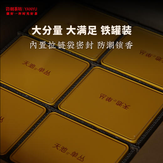 天池单丛320系列黄枝香大罐装栀子香茶叶香水茶高香春茶甘甜鲜爽单枞 商品图1