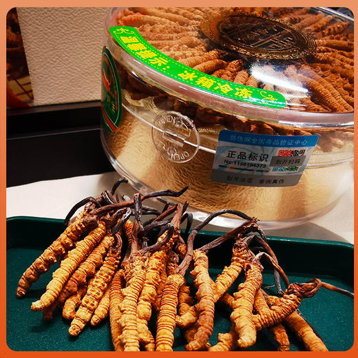 西藏那曲野生冬虫夏草干 干刷 苗家圆圆 顺丰包邮 商品图5