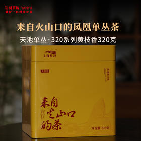 天池单丛320系列黄枝香大罐装栀子香茶叶香水茶高香春茶甘甜鲜爽单枞