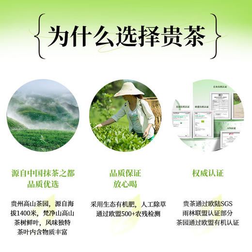 贵茶抹茶粉条装3号4号独立小袋12条30条装贵州高原纯抹茶粉冲饮烘焙 4#欧标抹茶45g*1盒(30条装) 商品图2