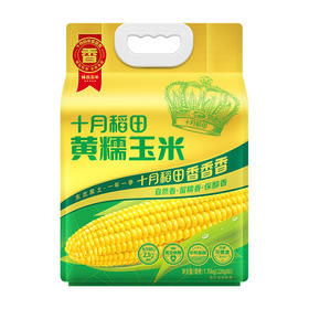 十月稻田 黄糯玉米1.76kg袋装 颗粒饱满 弹润黏糯