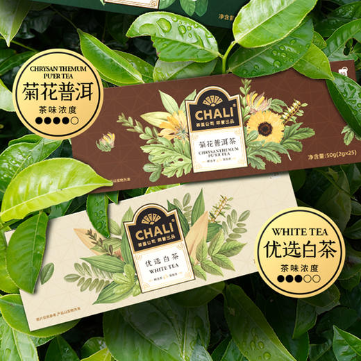 【2盒】CHALI茶里冷热双泡茶包 50g (2g*25包)/盒 商品图0