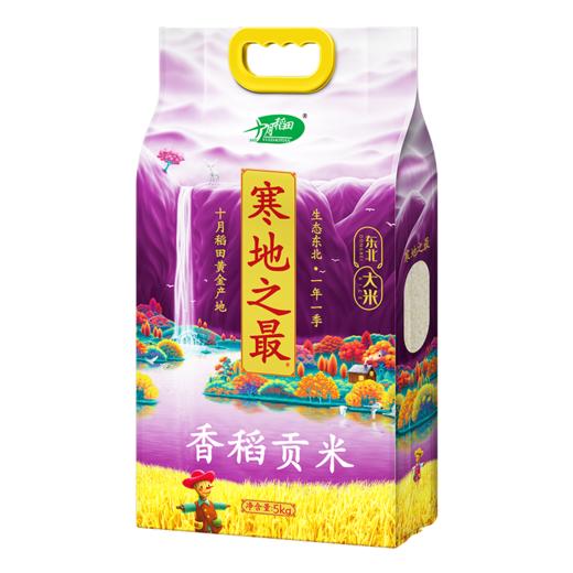 十月稻田 寒地之最香稻贡米5kg袋装 晶莹剔透 润滑爽口 商品图3