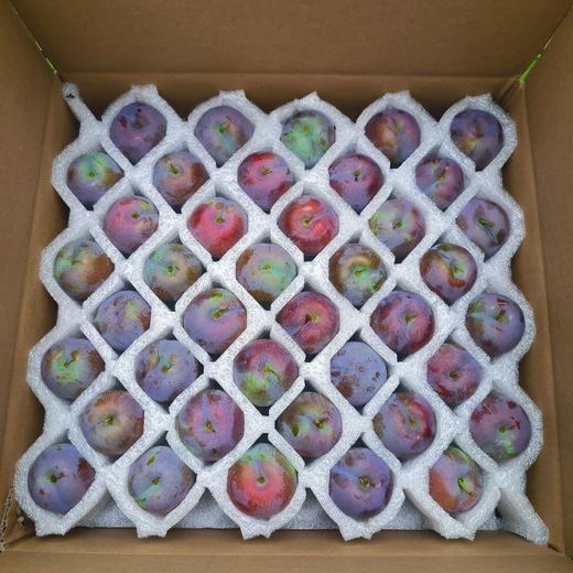 【臻选好果】五月脆凤凰李   产地四川 商品图2