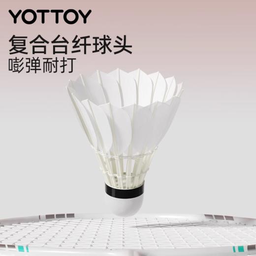 羽毛球耐打官方旗舰店专业训练球防风新款户外练习鹅毛/尼龙 商品图4