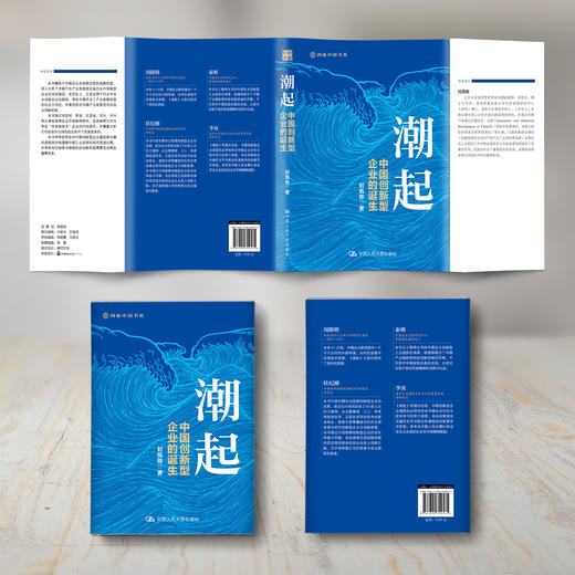 《潮起：中国创新型企业的诞生》 商品图11