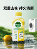 滴露洗衣机清洁除菌液（柠檬味）250ml 商品缩略图0