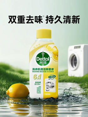 滴露洗衣机清洁除菌液（柠檬味）250ml
