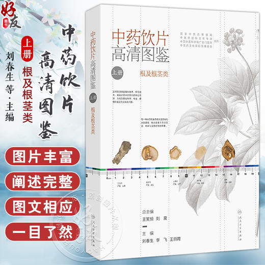 中药饮片高清图鉴上册 根及根茎类 刘春生 李飞 王丽霞 中药饮片采收加工炮制方法功能主治用法用量 人民卫生出版社9787117353052 商品图0