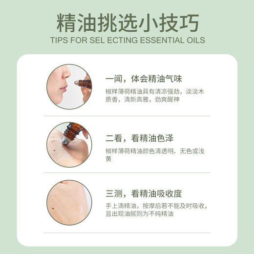 养瑞和 | 草本呵护精油5ml·暑热不适·蚊虫叮咬·薄荷脑·甘牛至花油·蓝桉叶油·辣薄荷油·肉桂油·薰衣草油·香蜂花叶油·纯植物精粹提取 商品图5