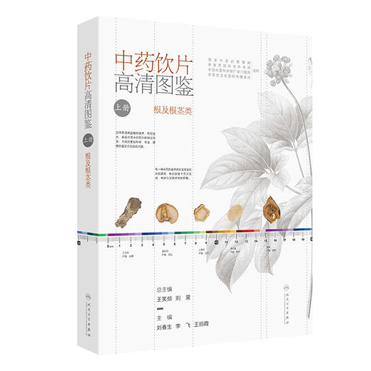中药饮片高清图鉴上册 根及根茎类 刘春生 李飞 王丽霞 中药饮片采收加工炮制方法功能主治用法用量 人民卫生出版社9787117353052 商品图1