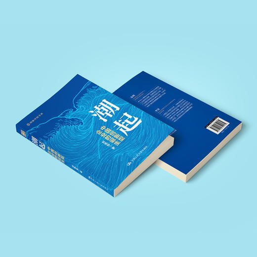 《潮起：中国创新型企业的诞生》 商品图7