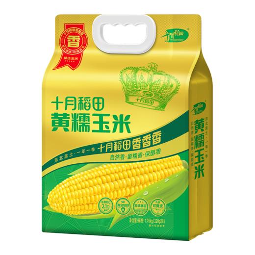 十月稻田 黄糯玉米1.76kg袋装 颗粒饱满 弹润黏糯 商品图4