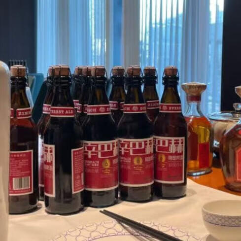 辛巴赫精酿【国际大奖】珠峰艾尔高端精酿啤酒商务送礼5.2度整箱500ml*12瓶 商品图7