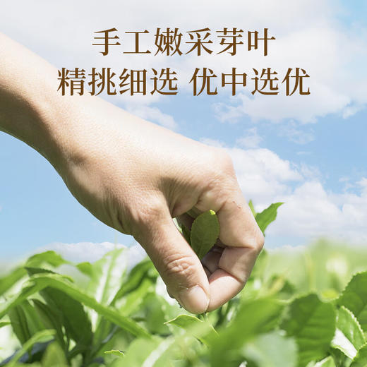 贵茶叶 特级红宝石贵州高山云雾红茶250g 真空压缩红罐铁盒端午送礼 方罐装250g【特级】 商品图2