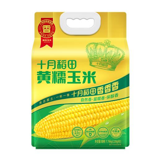 十月稻田 黄糯玉米1.76kg袋装 颗粒饱满 弹润黏糯 商品图3