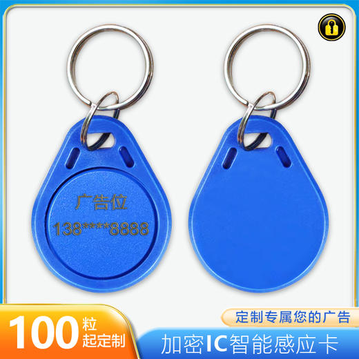 〖T8013〗激光刻字英朗2代加密IC 商品图0